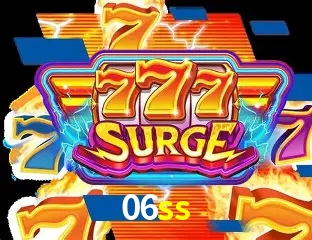 06ss - Customer Support